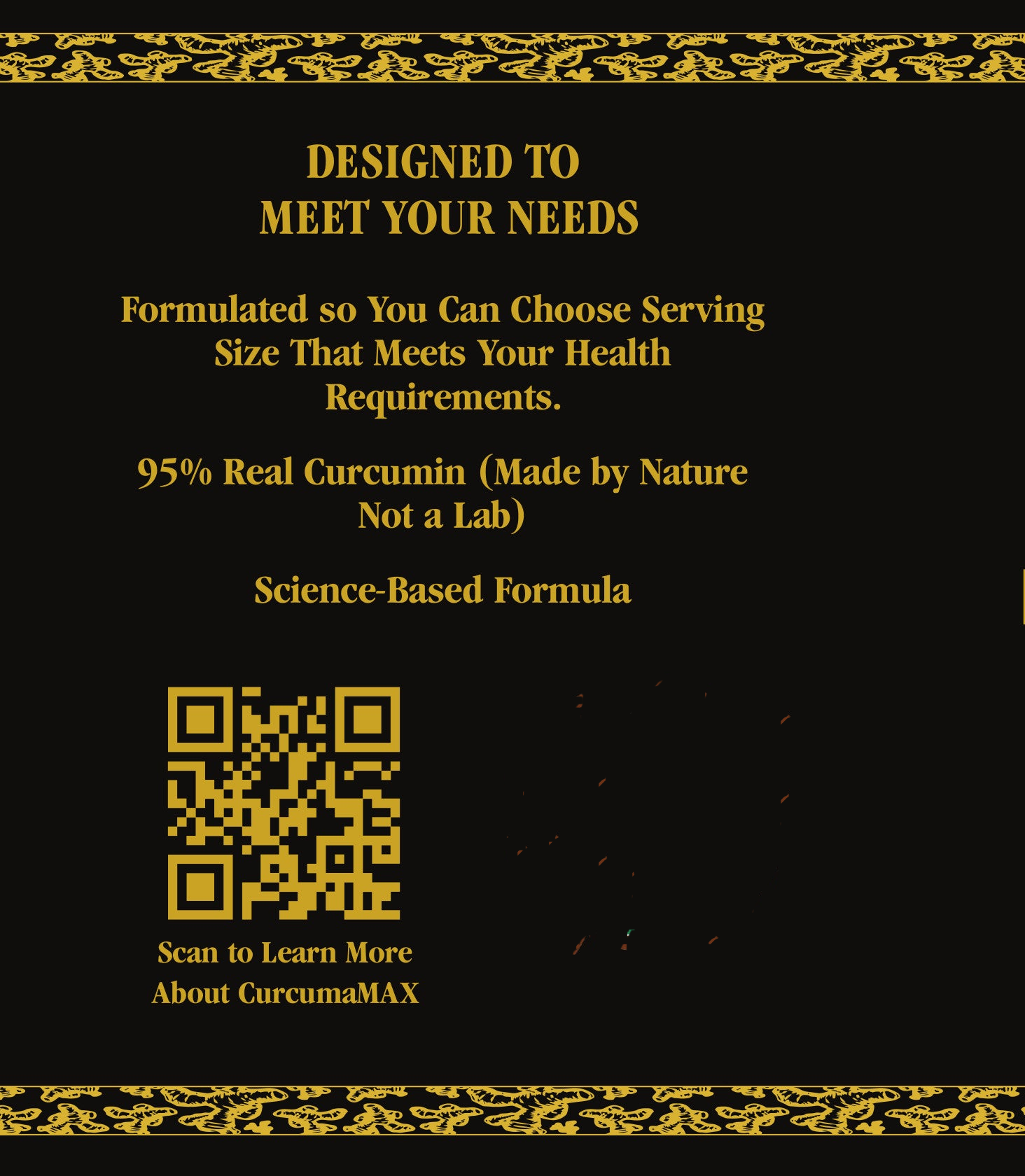 CurcumaMAX Fermented Turmeric Powder Feel the Transformative Power Enhanced with Additional Curcumin