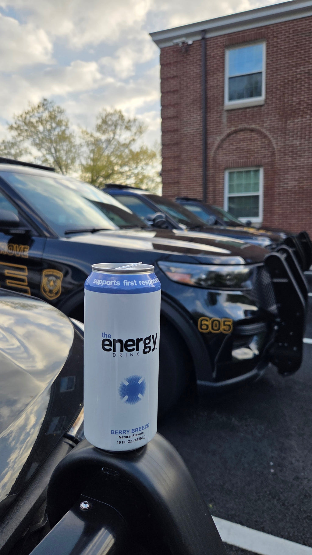 the Energy Drink™ Berry Breeze 12-Pack